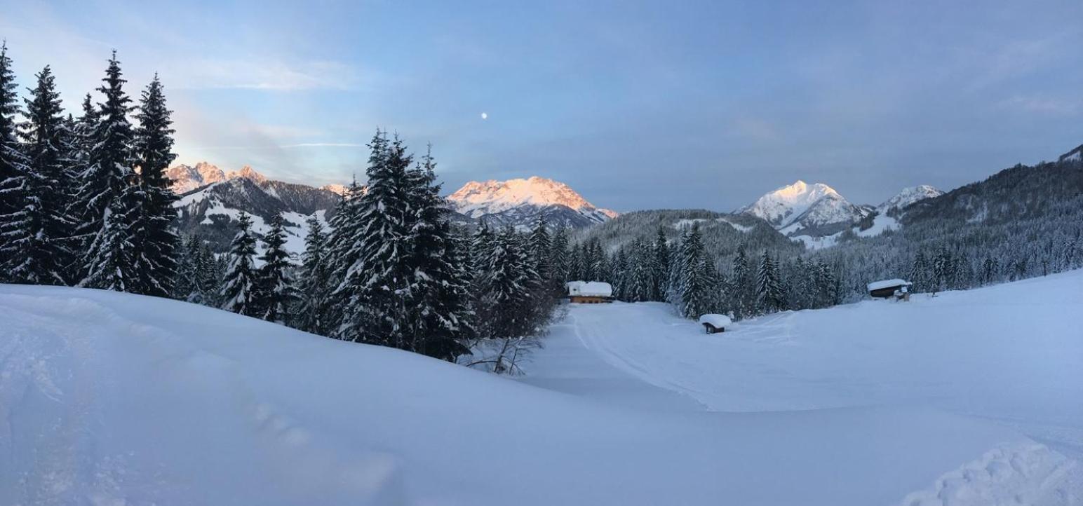 Chalet Haberlhuette フィーバーブルン エクステリア 写真